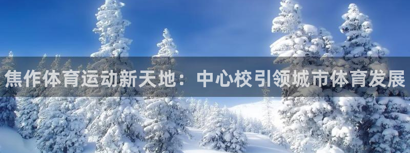 vsport体育官网下载平台注册流程视频：焦作体育运