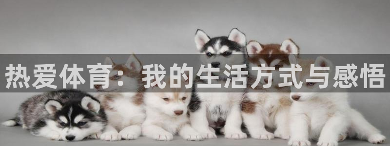 vsport体育官方正版app娱乐首页官网下载