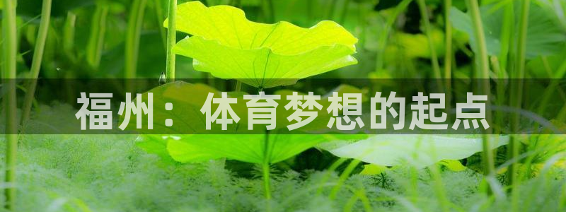 vsport体育官网下载招商电话号码是多少啊：福州：