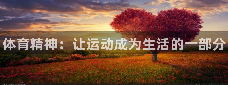 vsport体育官方正版app科技