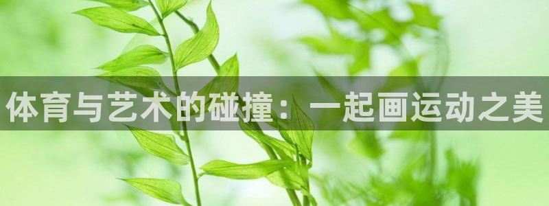 vsport体育官网下载注册：体育与艺术的碰撞：一起