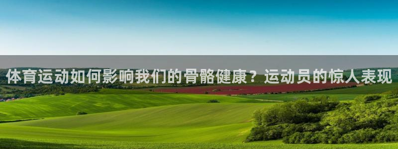 vsport体育官网下载软件