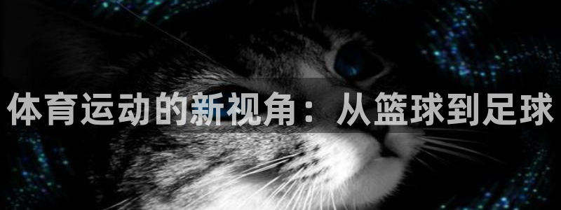 vsport体育官网下载娱乐