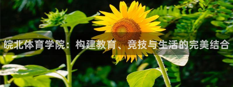 vsport体育官网下载注册：皖北体育学院：构建教育