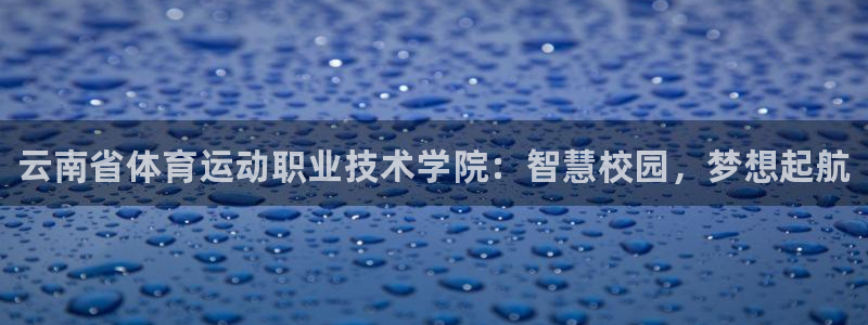 vsport体育官方正版app娱乐