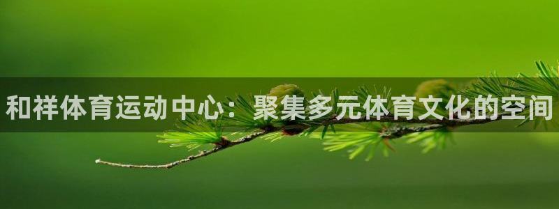 vsport体育官网下载平台假的吗是真的吗：和祥体育运动中心