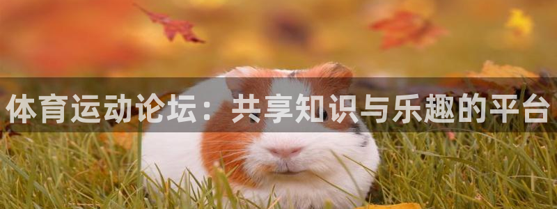 vsport体育官网下载招商电话是多少：体育运动论坛：共享知