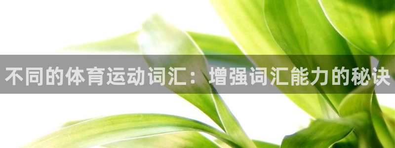 vsport体育官方正版app集团E.ON：不同的体