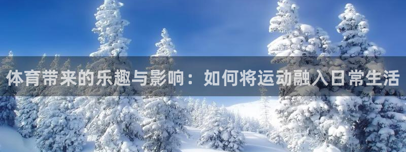 vsport体育官方正版app娱乐平台