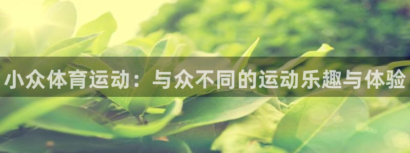 vsport体育官方正版app科技：小众体育运动：与众不同的