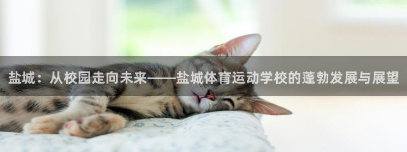 vsport体育官网下载平台
