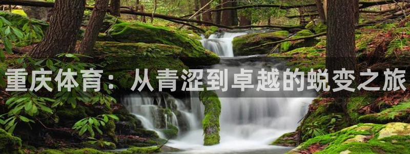 vsport体育官网下载平台假的吗是真的吗吗：重庆体