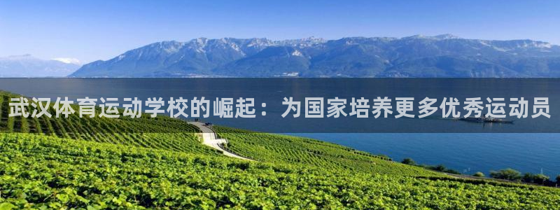 vsport体育官网下载联系电话：武汉体育运动学校的