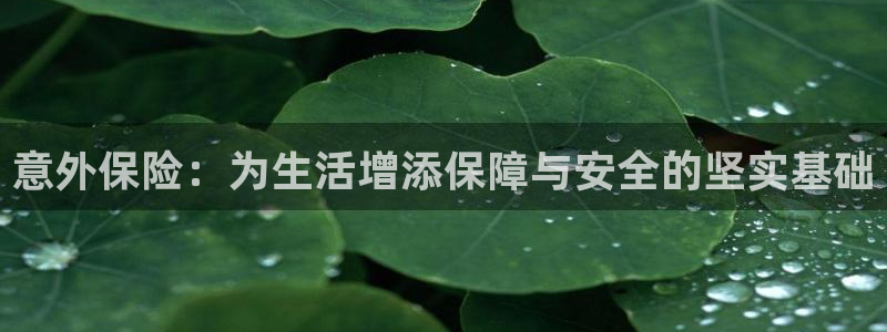 vsport体育官网下载是干嘛的公司：意外保险：为生