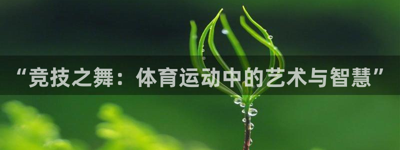 vsport体育官网下载招商电话是多少啊：“竞技之舞：体育运