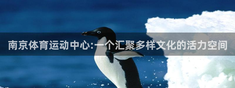 注册vsport体育官方正版app：南京体育运动中心:一个汇