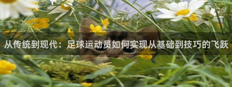 vsport体育官方正版app科技：从传统到现代：足球运动员