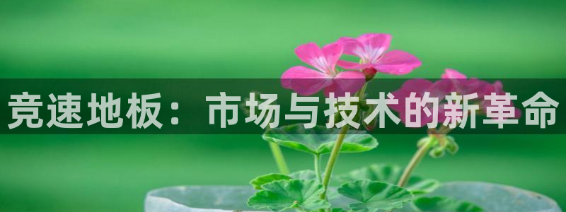 vsport体育官方正版app娱乐40996：竞速地板：市场