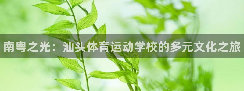 vsport体育官网下载招商电话是多少啊：南粤之光：汕头体育