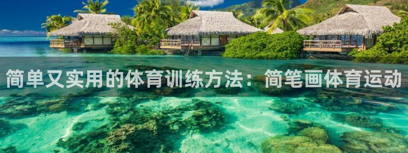 vsport体育官方正版app集团