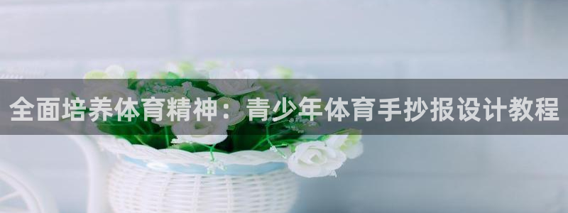 vsport体育官方正版app娱乐首页网站大全：全面培养体育