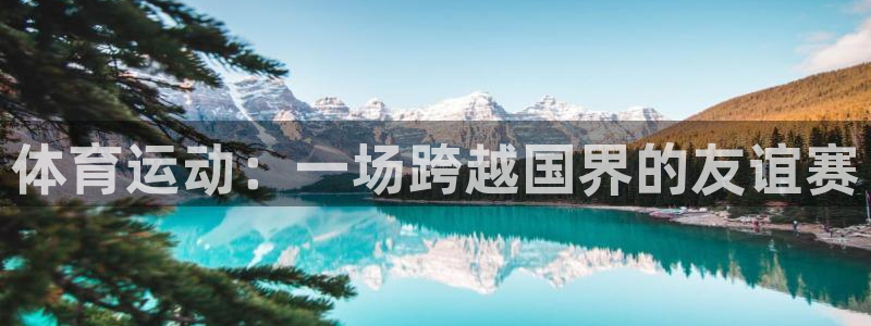 vsport体育官方正版app神州：体育运动：一场跨