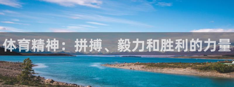 vsport体育官方正版app娱乐首页官网下载：体育