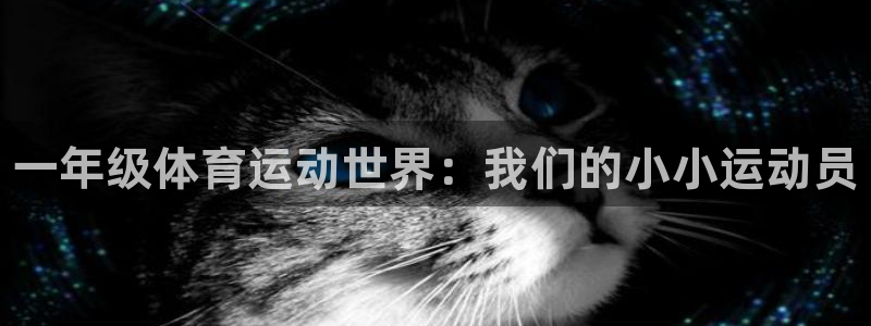 vsport体育官网下载招商电话号码：一年级体育运动