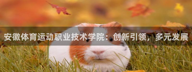 vsport体育官方正版app开户：安徽体育运动职业技术学院