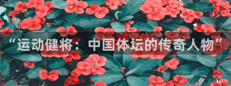 vsport体育官方正版app神州：“运动健将：中国体坛的传