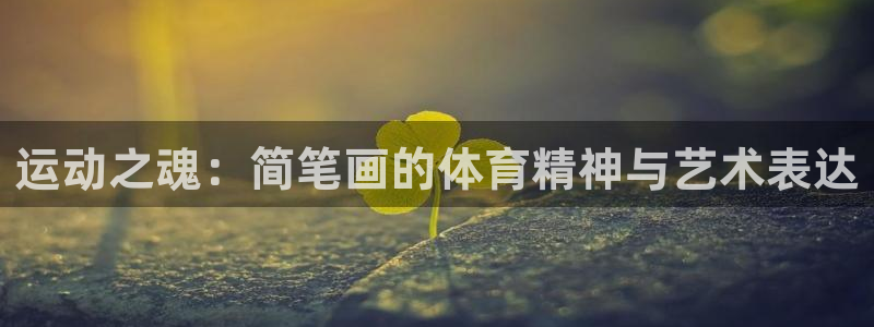 vsport体育官网下载软件：运动之魂：简笔画的体育