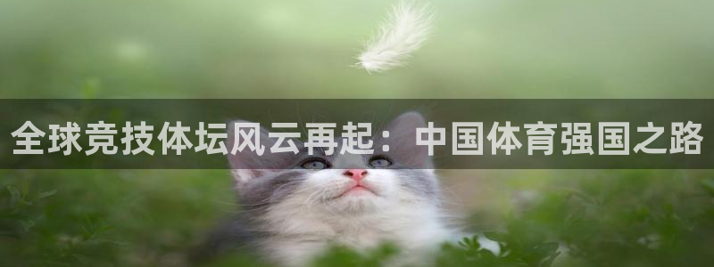 vsport体育官网下载招商电话号码是多少：全球竞技