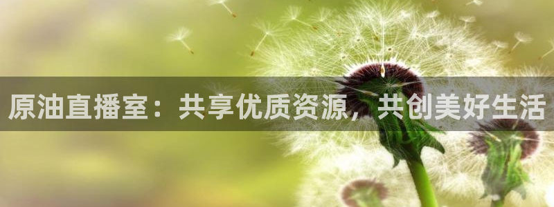 88看球nba直播在线观看