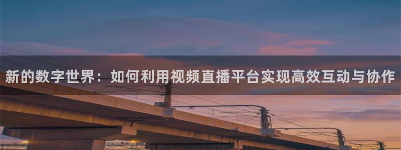 nba直播在线观看88看球官网：新的数字世界：如何利用视频直播平台实现高效互动与协作